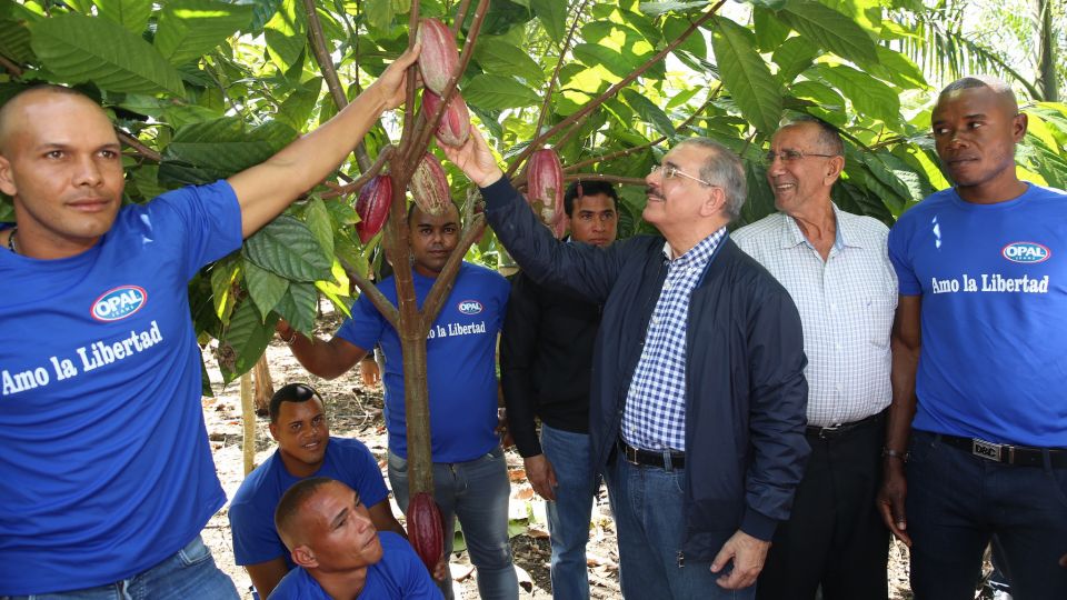 Productores especiales de Los Limones, Villa Tapia