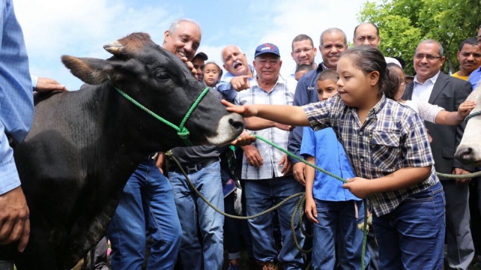 Visita Sorpresa