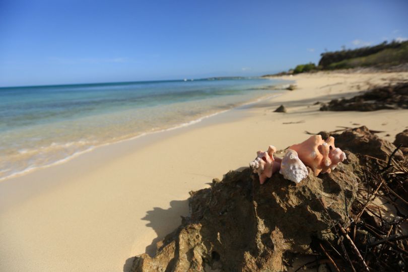 Bahia de las Aguilas 