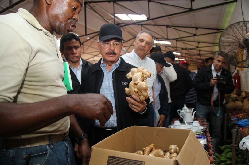 Danilo escucha a productores de jengibre orgánico en Samaná; respalda aumentar producción