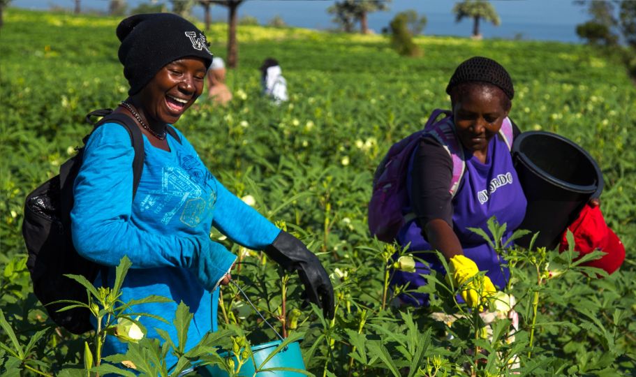 Día Internacional Mujeres Rurales encuentra a dominicanas empoderadas gracias a Visitas Sorpresa