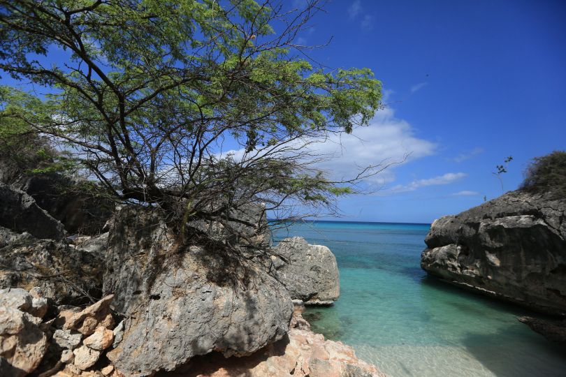 Bahia de las Aguilas 