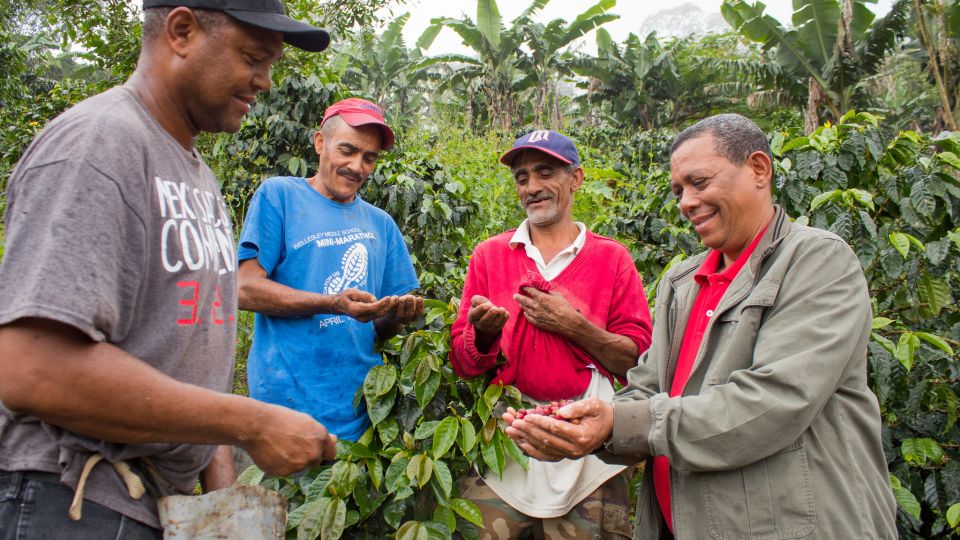 Caficultores 