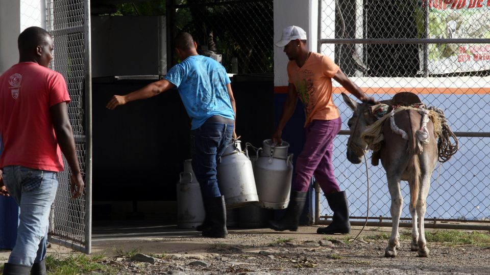 Ganaderos Hato Mayor