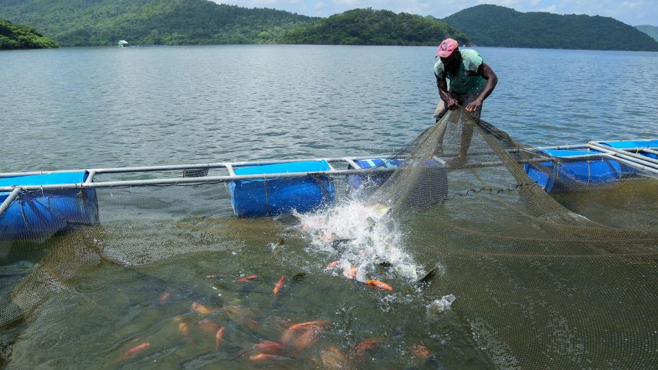 pescadores