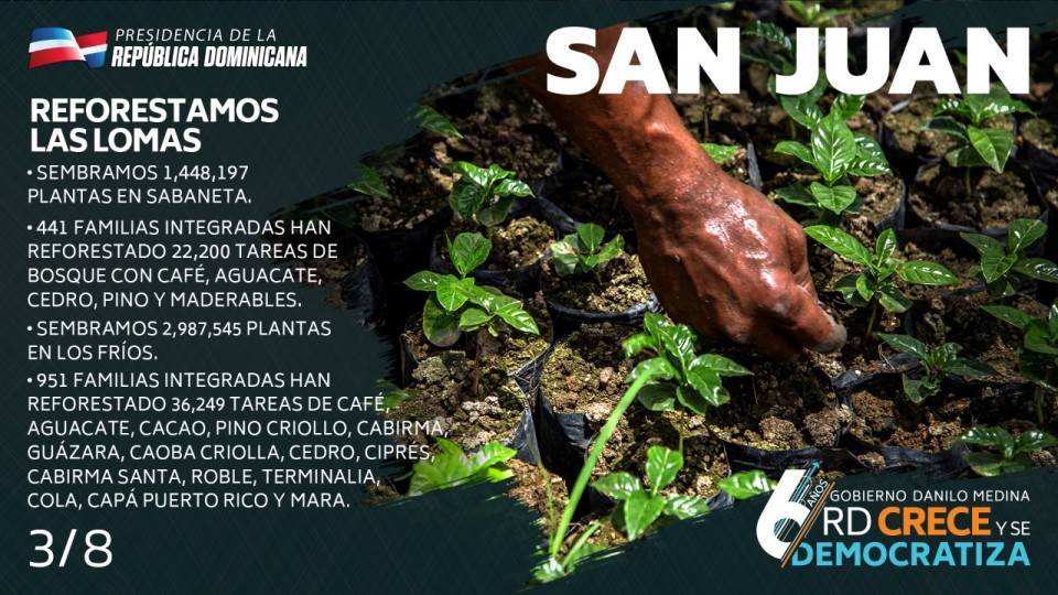 Infografía San Juan