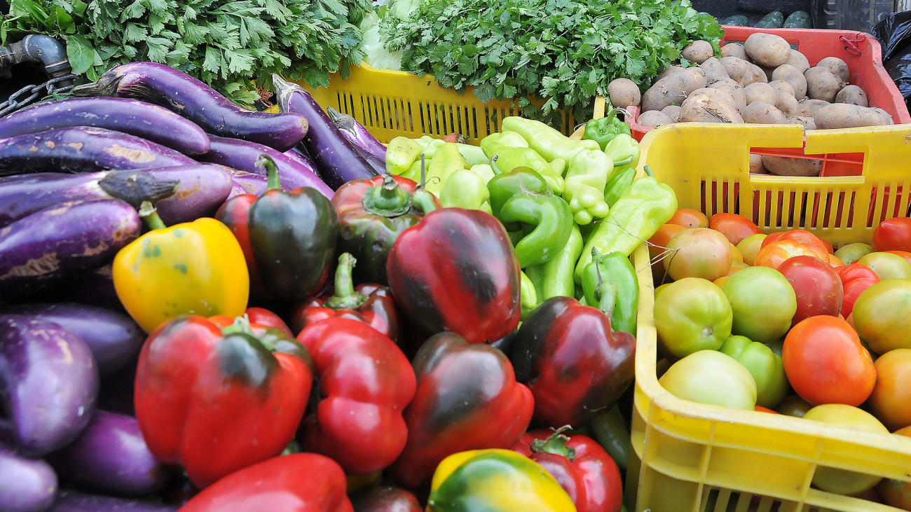 Estados Unidos levanta restricciones a exportaciones frutas y vegetales de República Dominicana