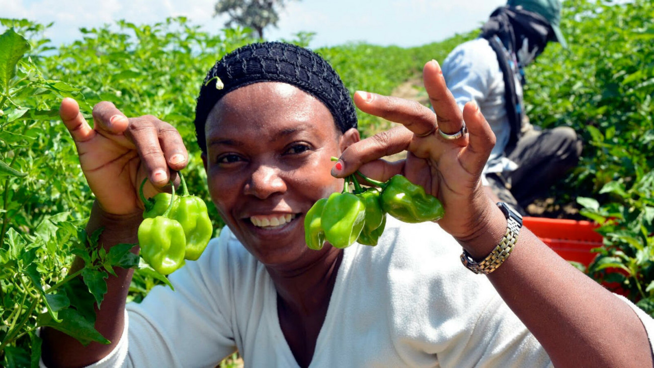 Día Mundial de la Alimentación