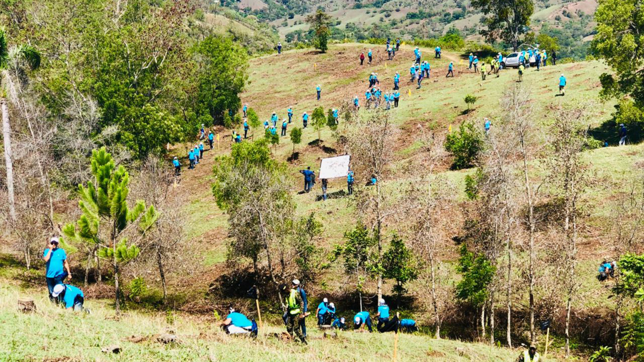 Plan reforestación en cuenca del río Yaque del Norte contempla sembrar 15,000 tareas en los próximos meses