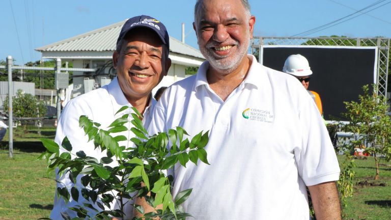 Inicia programa de siembra de un millón de árboles de caoba en Peravia y Punta Catalina