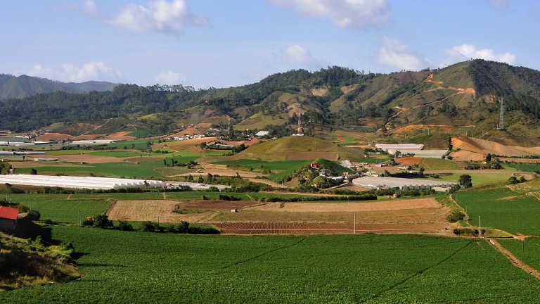 El campo dominicano vive su mejor momento