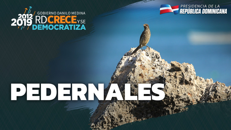 Infografías provincia Pedernales 2012-2019 en cifras 