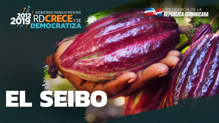 Cacao en El Seibo