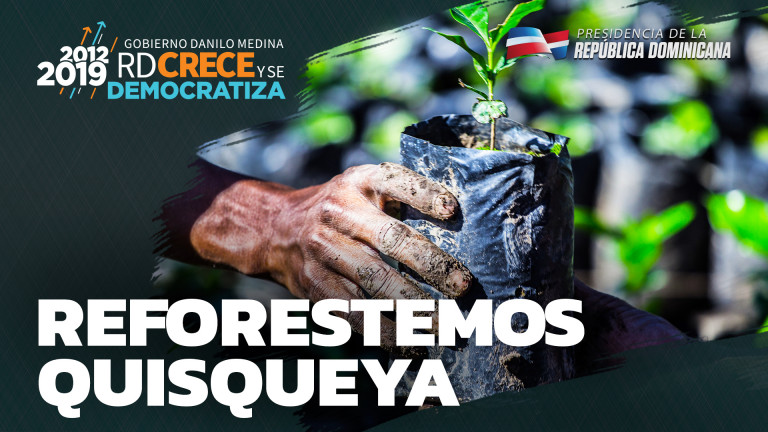 Reforestemos Quisqueya 