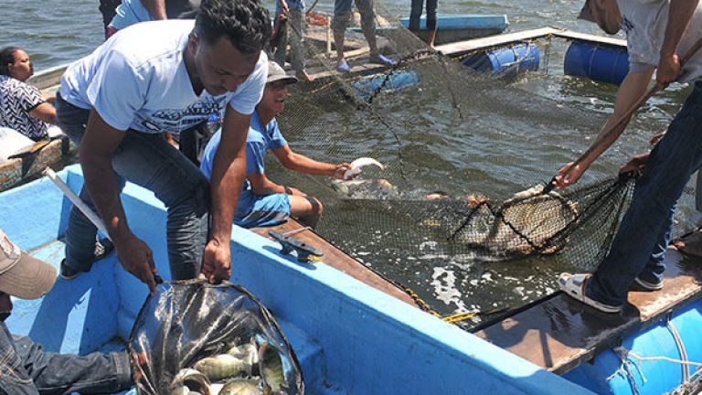 Granjeros de peces en Montecristi